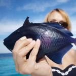 Warum von getrocknetem Fisch träumen: Bedeutungen und Interpretationen des Schlafes